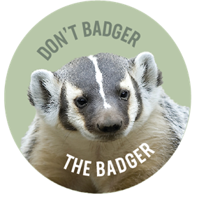 Don't Badger the Badger Badge